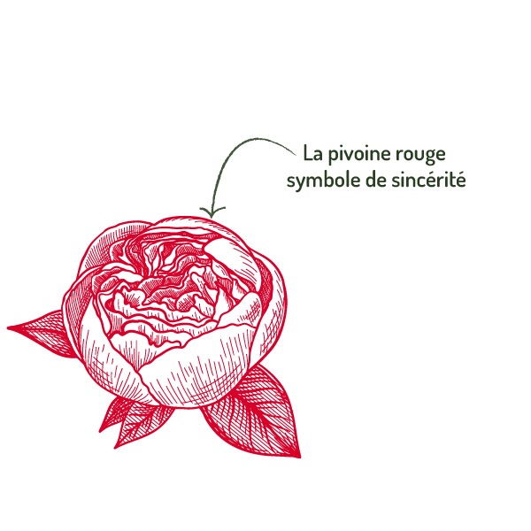 Nos valeurs : sincérité