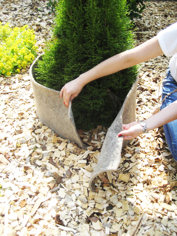 proteger ses plantes du froid